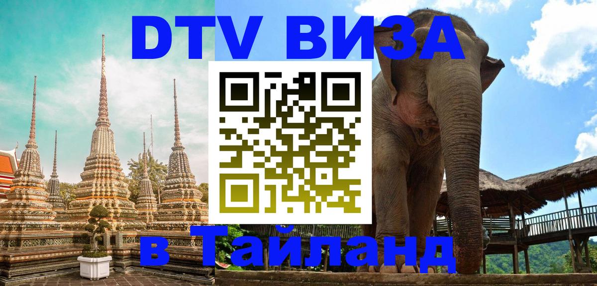 Оформление DTV визы под ключ: стоимость и тарифы, только загранпаспорт - Нальчик  20.11.2025 